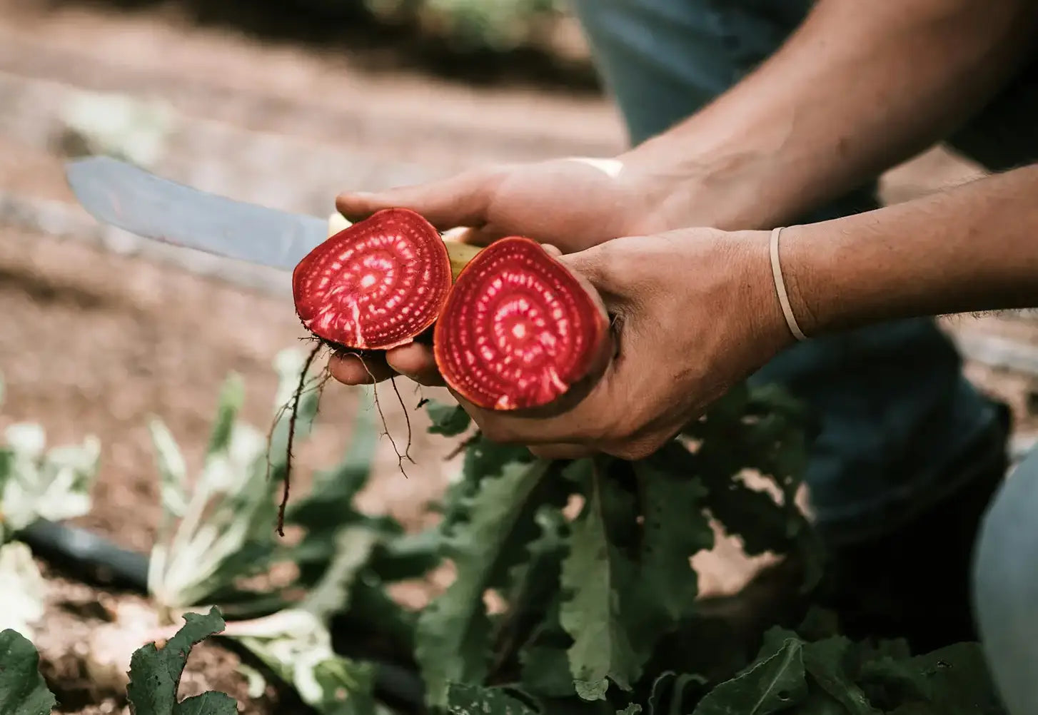 Rote-Bete-Salat mit Walnüssen